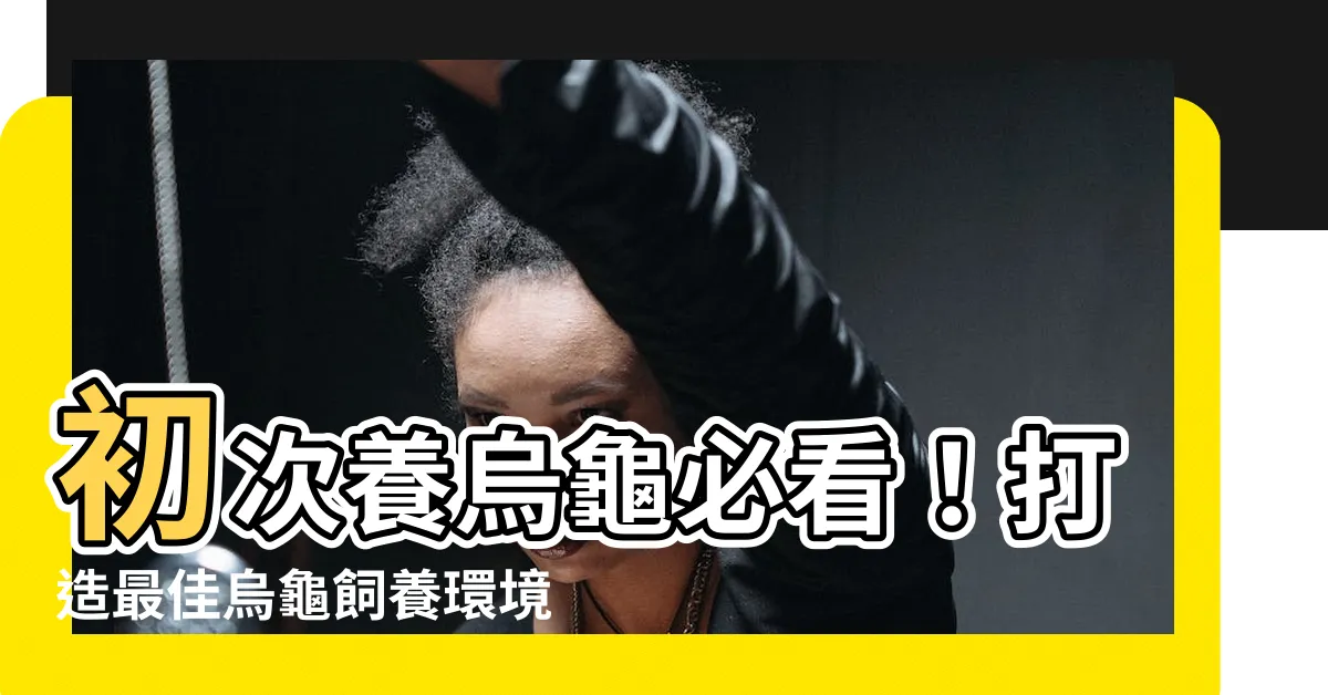 【養烏龜環境】初次養烏龜必看！打造最佳烏龜飼養環境