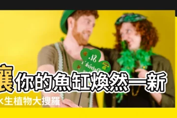 【水生 植物 魚缸】讓你的魚缸煥然一新！水生植物大搜羅