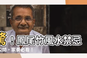 【鳳尾竹風水】驚！鳳尾竹風水禁忌大公開，家養必看！