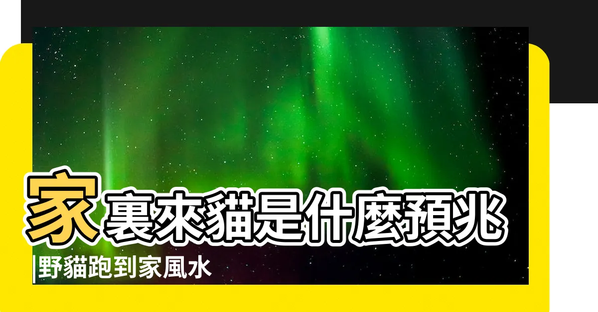 【貓來家好嗎】家裏來貓是什麼預兆 |野貓跑到家風水 |外來貓進家有什麼預兆 |