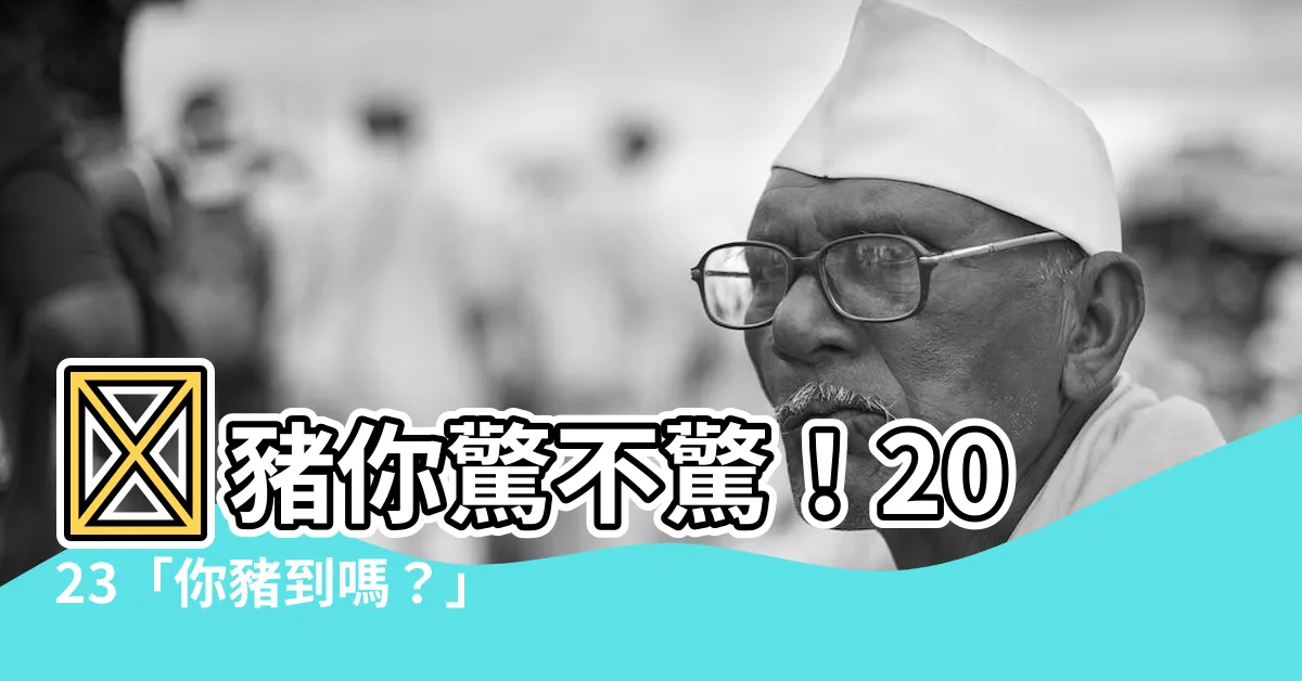 【你豬到嗎】✨豬你驚不驚！2023「你豬到嗎？」小豬事圖文徵稿大開跑🎉
