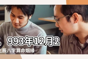 【1993年12月初二姻緣】1993年12月2日生辰八字算命姻緣 |1993年屬雞的姻緣93年屬雞最佳婚配表大全 |超準愛情測試 |