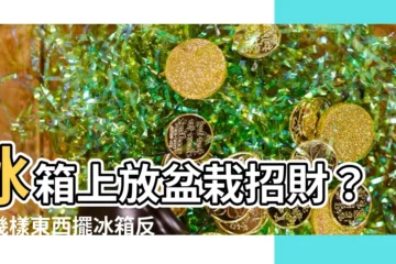 【冰箱上放盆栽】冰箱上放盆栽招財？這幾樣東西擺冰箱反而壞運上身