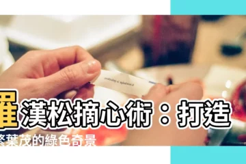 【羅漢松摘心】羅漢松摘心術：打造枝繁葉茂的綠色奇景