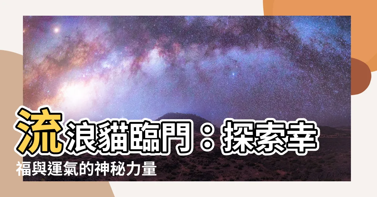【流浪貓臨門】流浪貓臨門：探索幸福與運氣的神秘力量