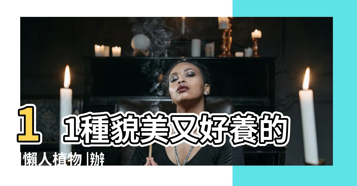 【什麼植物最好養】11種貌美又好養的 |懶人植物 |辦公室植物推薦這5款 |
