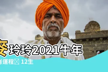 【2021牛年】麥玲玲2021牛年生肖運程✨ 12生肖牛年【整體運勢】解析！