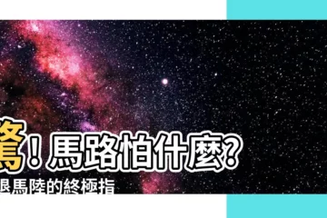 【馬路怕什麼】驚! 馬路怕什麼? 擊退馬陸的終極指南