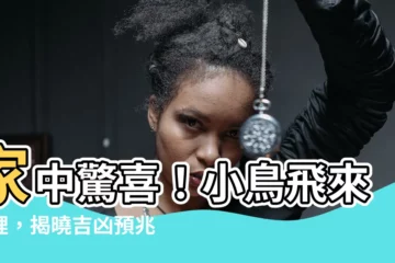 【小鳥飛來家裡】家中驚喜！小鳥飛來家裡，揭曉吉凶預兆與氣場大解析