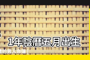 【71屬豬後5月20出生的男人】71年陰曆五月出生屬豬的男人命運 |1971年5月20日卯時出生屬豬的男人是什麼命 |1971年5月20日未時出生屬豬的男人是什麼命 |