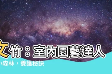 【文竹】文竹：室內園藝達人的小森林，養護秘訣大公開！