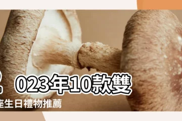 【雙魚女喜歡什麼東西】2023年10款雙魚座生日禮物推薦 |雙魚女想要什麼小禮物 |2022年送雙魚座女生什麼禮物 |