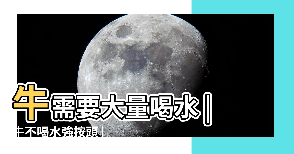 【牛喝水】牛需要大量喝水 |牛不喝水強按頭 |注意六點不誤事 |