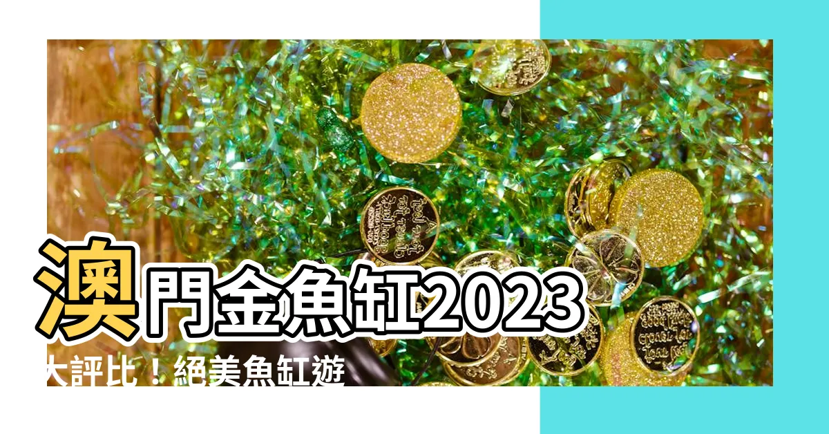 【澳門金魚缸2023】澳門金魚缸2023大評比！絕美魚缸遊與最潮設計一次看