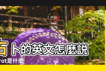 【塔羅牌用英文怎樣寫】占卜的英文怎麼説 |tarot是什麼意思 |一起用英文學塔羅牌算命 |