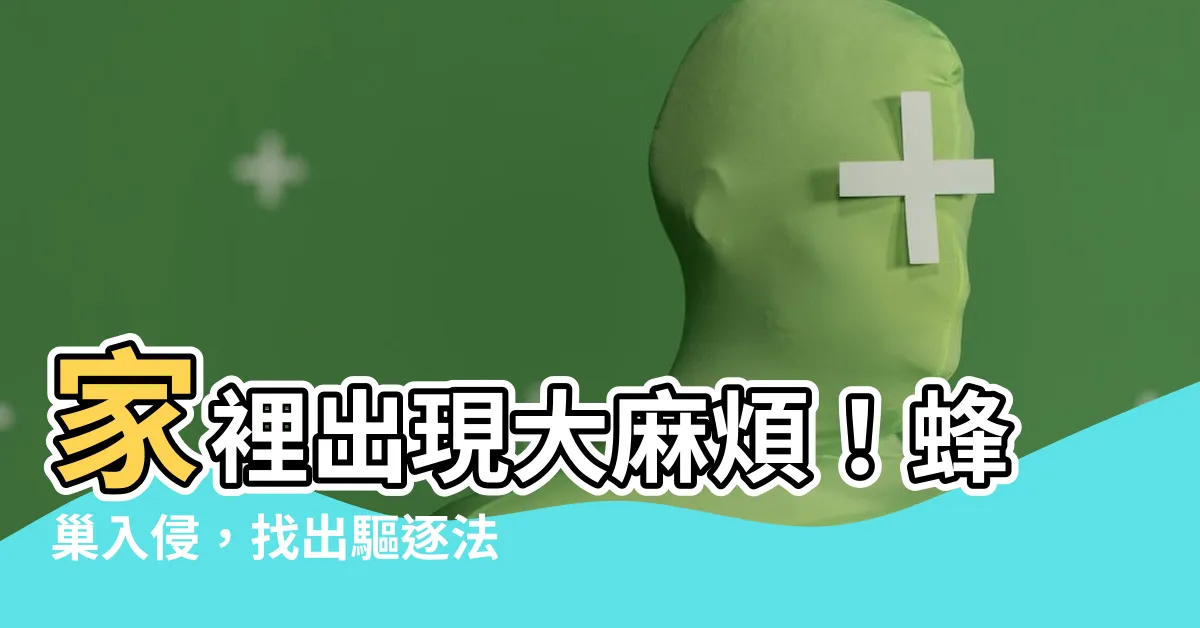 【家裡有蜂巢】家裡出現大麻煩！蜂巢入侵，找出驅逐法寶