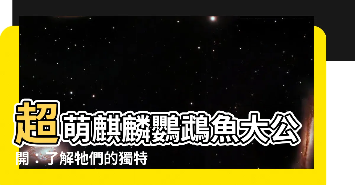 【麒麟鸚鵡魚】超萌麒麟鸚鵡魚大公開：瞭解牠們的獨特魅力