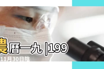 【1994年陰曆11月30】農曆一九 |1994年11月30日陰曆多少號 |1994年11月30日出生時間看命運 |