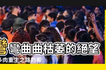 【彎彎曲曲枯萎】彎彎曲曲枯萎的絕望，多肉重生之路的希望