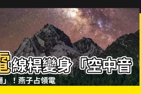 【很多燕子】電線桿變身「空中音樂廳」！燕子佔領電線譜奏鳴百鳥交響曲