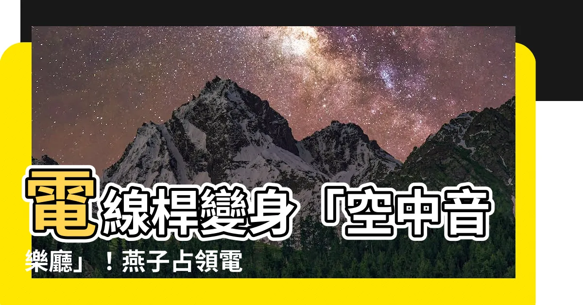 【很多燕子】電線桿變身「空中音樂廳」!燕子佔領電線譜奏鳴百鳥交響曲