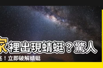 【家裡出現蜻蜓】家裡出現蜻蜓？驚人徵兆！立即破解蜻蜓飛進家裡的象徵意義