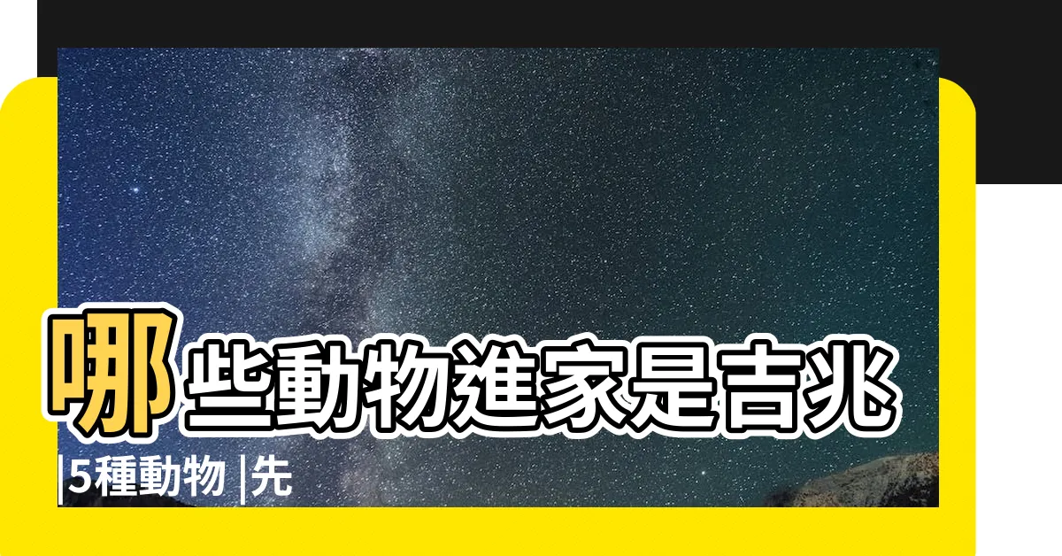 【家裡有蜂窩代表】哪些動物進家是吉兆 |5種動物 |先別趕走 |