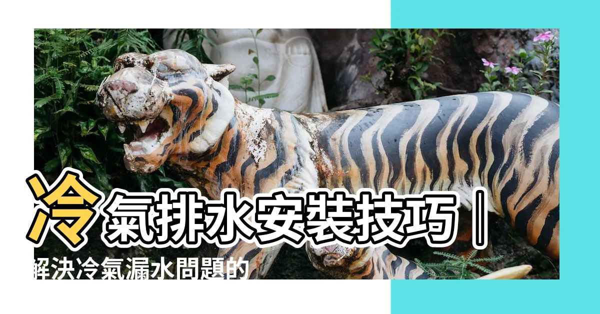【冷氣排水安裝】冷氣排水安裝技巧｜解決冷氣漏水問題的關鍵