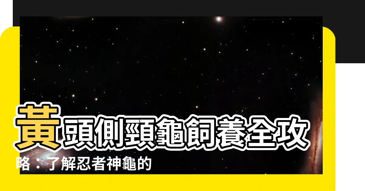 【黃頭側頸龜飼養】黃頭側頸龜飼養全攻略：瞭解忍者神龜的飼養秘訣！
