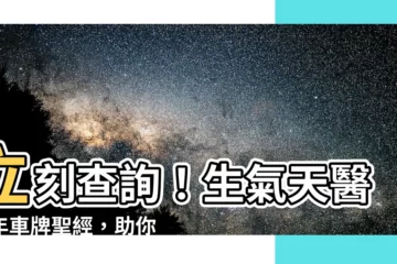 【生氣天醫延年車牌】立刻查詢！生氣天醫延年車牌聖經，助你行車平安好運