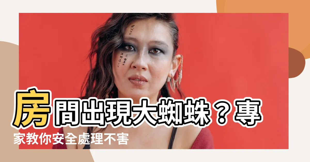 【房間出現大蜘蛛】房間出現大蜘蛛？專家教你安全處理不害怕！