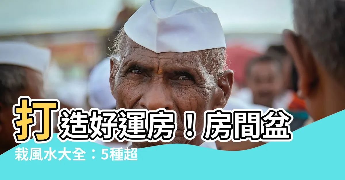 【房間盆栽風水】打造好運房！房間盆栽風水大全：5種超旺財開運植物