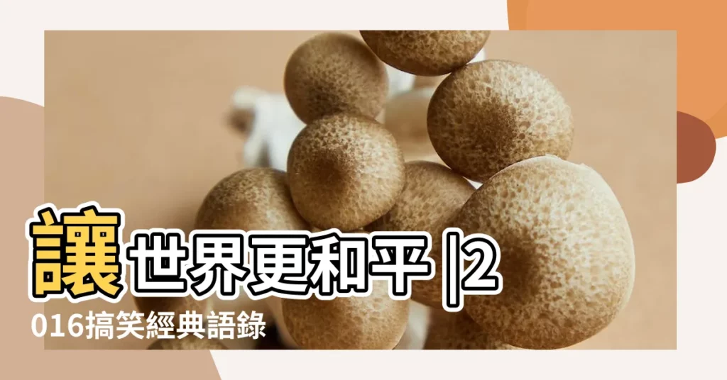 讓世界更和平 |2016搞笑經典語錄 |看似有意義的廢文 |【2016搞笑名詞】