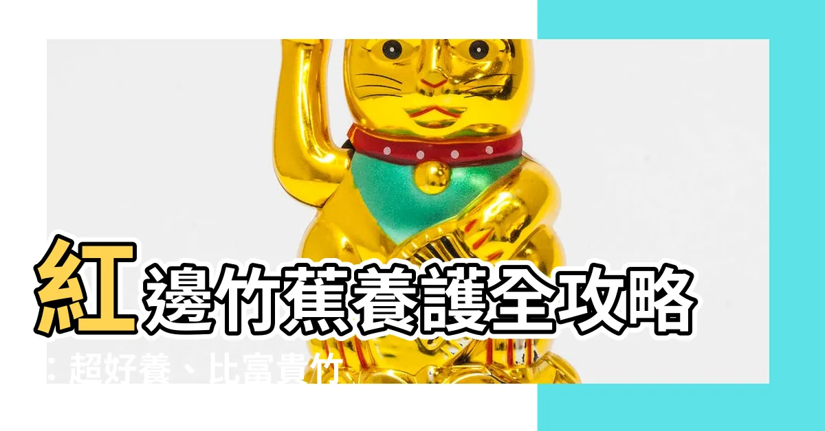 【紅邊竹蕉照顧】紅邊竹蕉養護全攻略：超好養、比富貴竹美百倍！