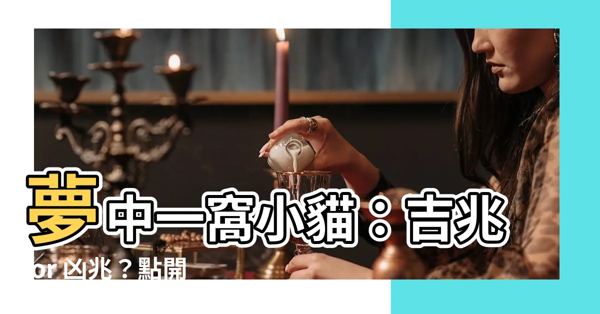 【夢見一窩小貓】夢中一窩小貓：吉兆 or 凶兆？點開一看，驚人解析！
