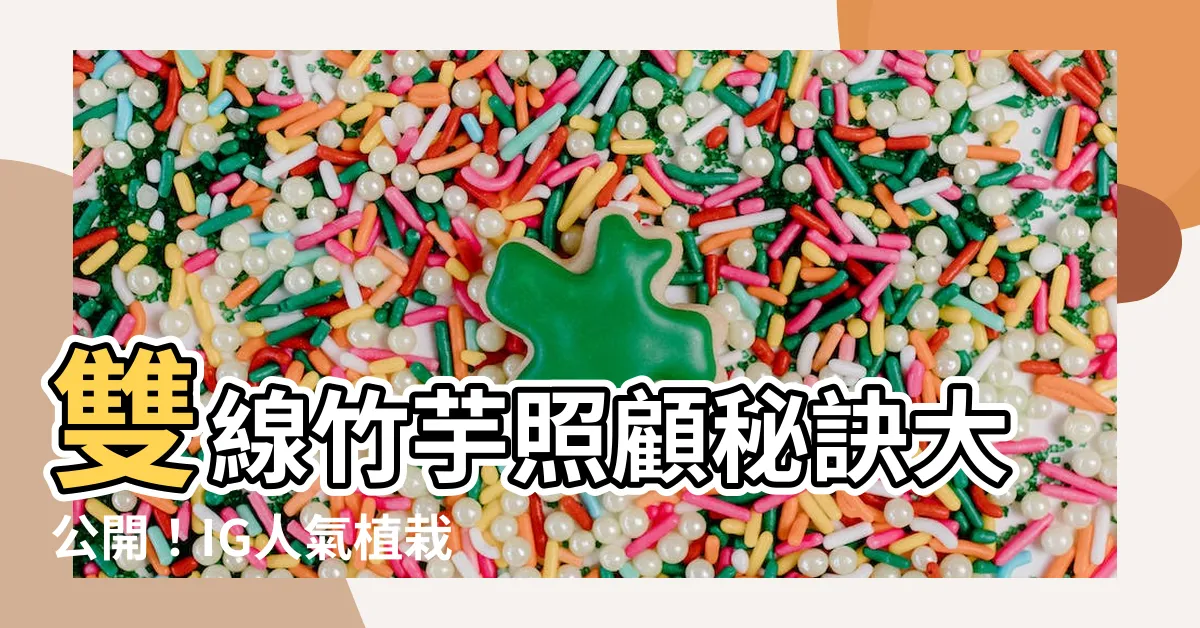 【雙線竹芋】雙線竹芋照顧秘訣大公開！IG人氣植栽，打造居家綠意新風景