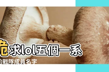 【求個lol戰隊英文名字】跪求lol五個一系列的戰隊成員名字 |帶英文的 |搜索結果 |