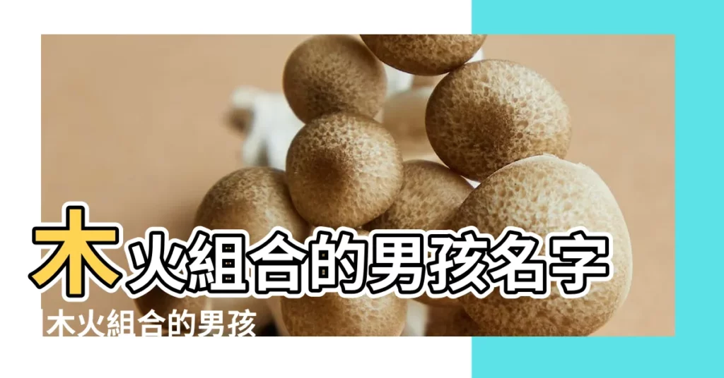 木火組合的男孩名字 |木火組合的男孩名字大全 |五行缺木和火的男孩起名 |【火木的男孩名字大全】