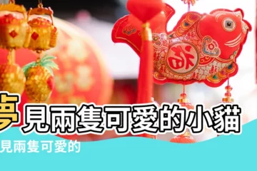 【夢見非常可愛的一對貓】夢見兩隻可愛的小貓 |夢見兩隻可愛的小貓預示什麼 |女人夢見可愛的小貓崽有什麼寓意 |