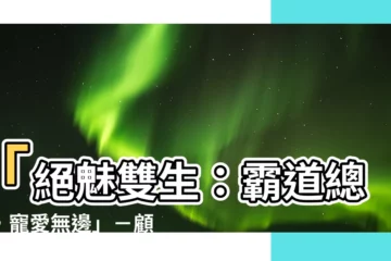 【顧琛 顧垣】「絕魅雙生：霸道總裁，寵愛無邊」－顧琛、顧垣最新小説大曝光