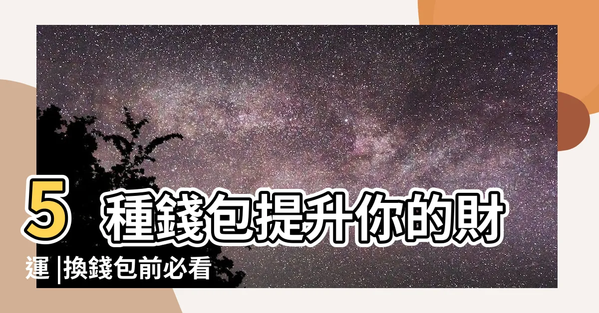 【二手銀包風水】5種錢包提升你的財運 |換錢包前必看 |風水特輯 |