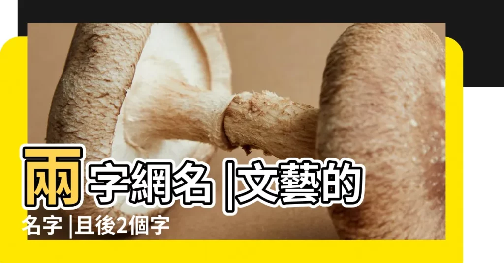 兩字網名 |文藝的名字 |且後2個字一樣 |【最文藝的兩字遊戲名字】
