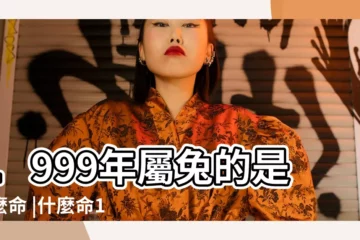 【1999屬兔人五行屬什麼生肖】1999年屬兔的是什麼命 |什麼命1999年屬兔的是什麼命 |99年出生五行屬什麼 |