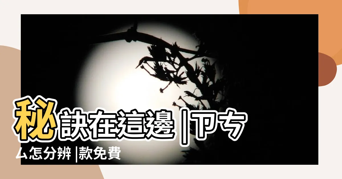 【芷筆劃】秘訣在這邊 |ㄗㄘㄙ怎分辨 |款免費商用書法字體推薦 |