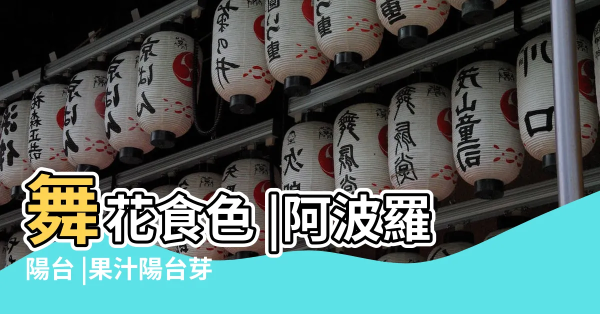 【阿波羅陽台】舞花食色 |阿波羅陽台 |果汁陽台芽變種橙杏混色 |