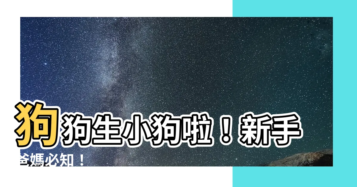 【狗狗生小狗】狗狗生小狗啦！新手爸媽必知！