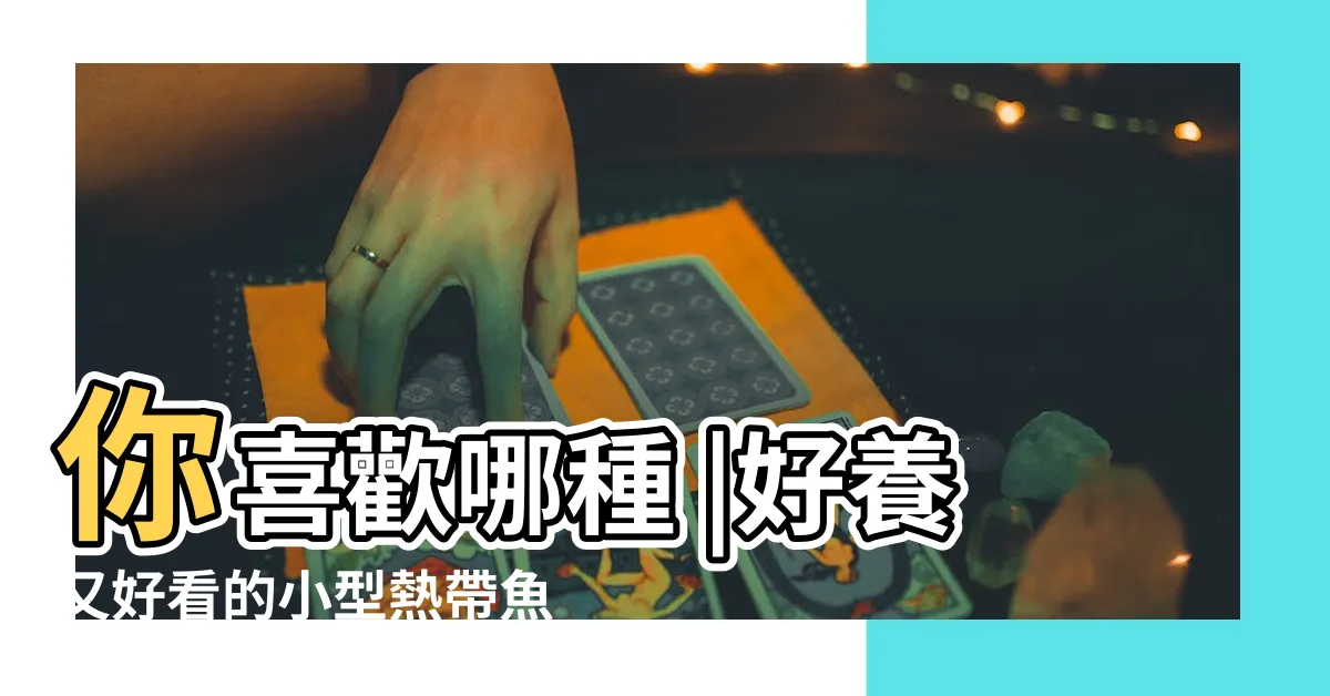 【好看又好養的魚】你喜歡哪種 |好養又好看的小型熱帶魚 |養魚筆記第4季38集 |