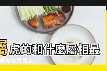 【女方屬虎 男方屬豬配嗎】屬虎的和什麼屬相最配 |男豬女虎是上等婚姻麼 |屬豬和屬虎的合不合財 |