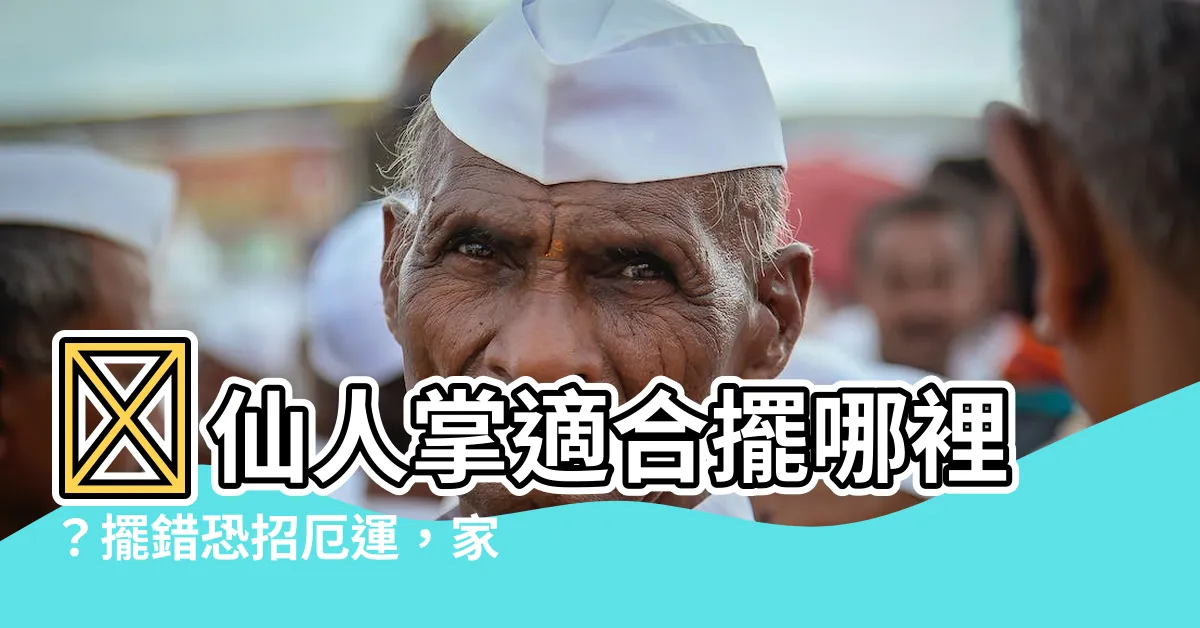 【仙人掌適合放哪裡】✨仙人掌適合擺哪裡？擺錯恐招厄運，家居風水指南✨