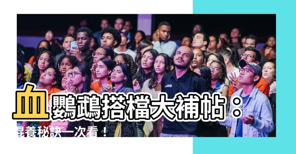 【血鸚鵡適合和什麼魚混養】血鸚鵡搭檔大補帖：混養秘訣一次看！